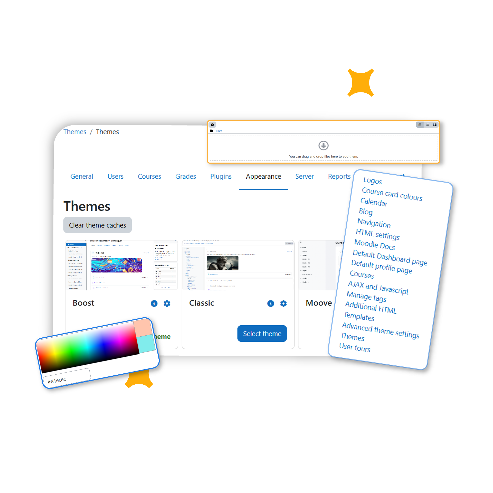 Customization & Branding